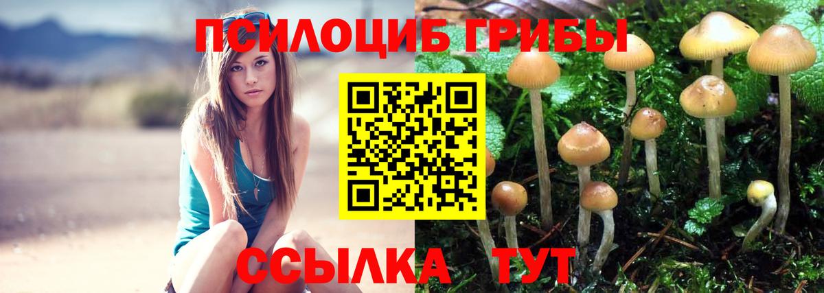 Псилоцибиновые грибы мухоморы Дербент